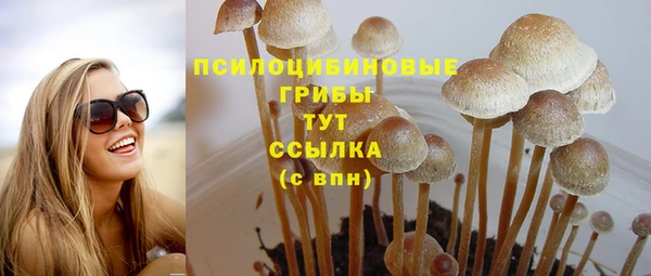 ГАЛЛЮЦИНОГЕННЫЕ ГРИБЫ Абинск