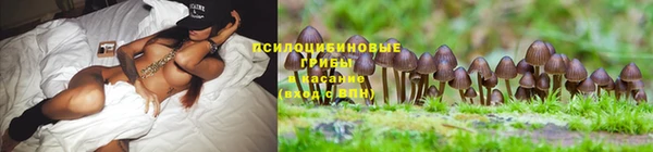 дмт Алексеевка
