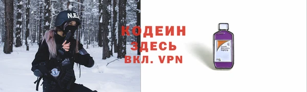 шишки Абаза