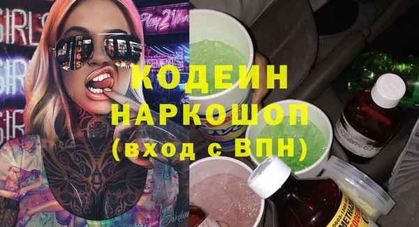 шишки Абаза