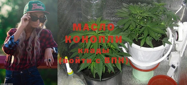 шишки Абаза