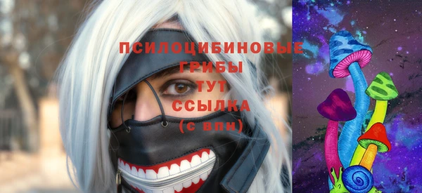 ГАЛЛЮЦИНОГЕННЫЕ ГРИБЫ Абдулино