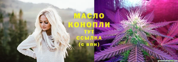 шишки Абаза